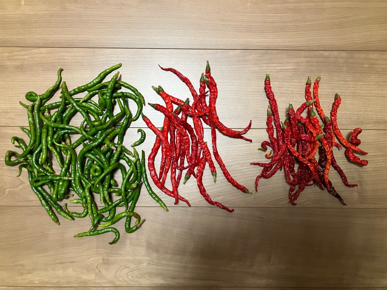 あじめこしょうの詳細画像 その27