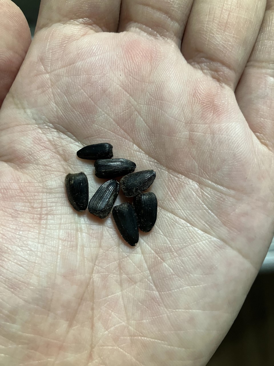 ホピブラックダイの詳細画像 その10