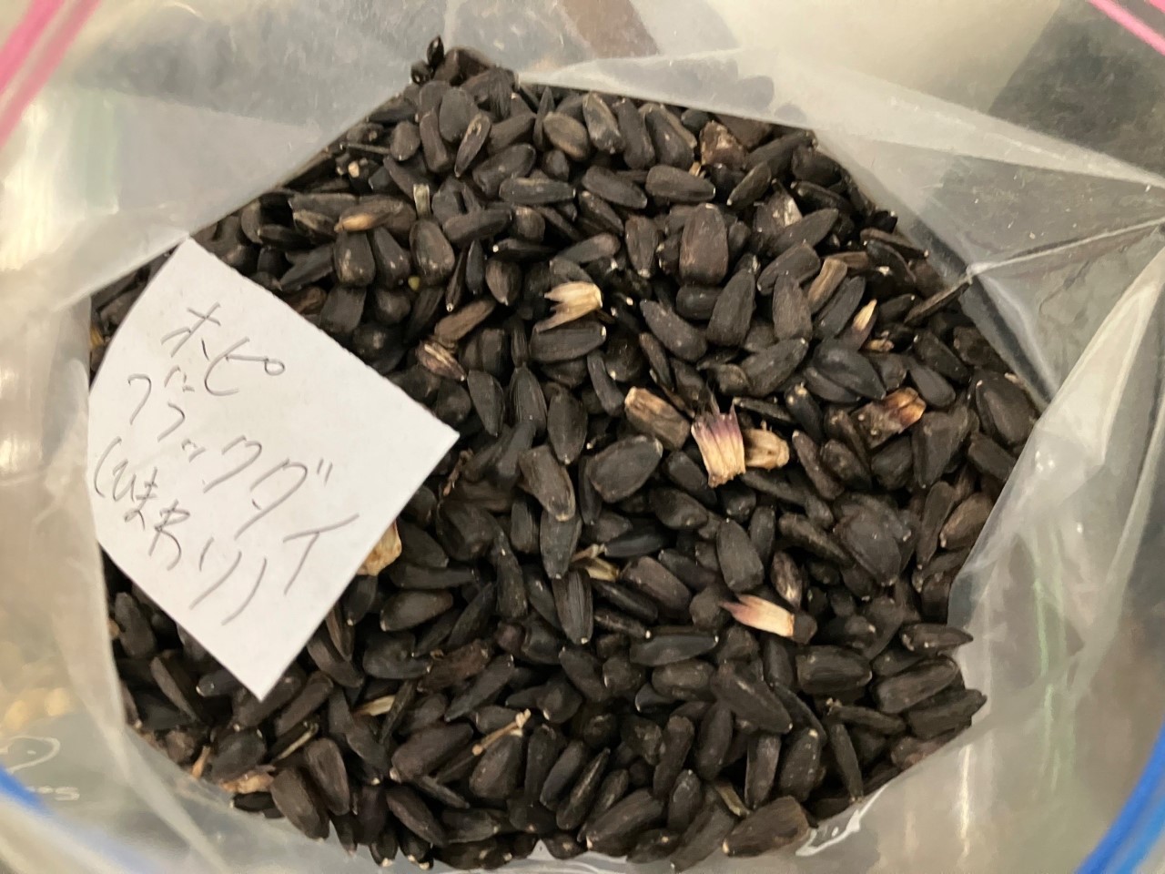 ホピブラックダイの詳細画像 その11