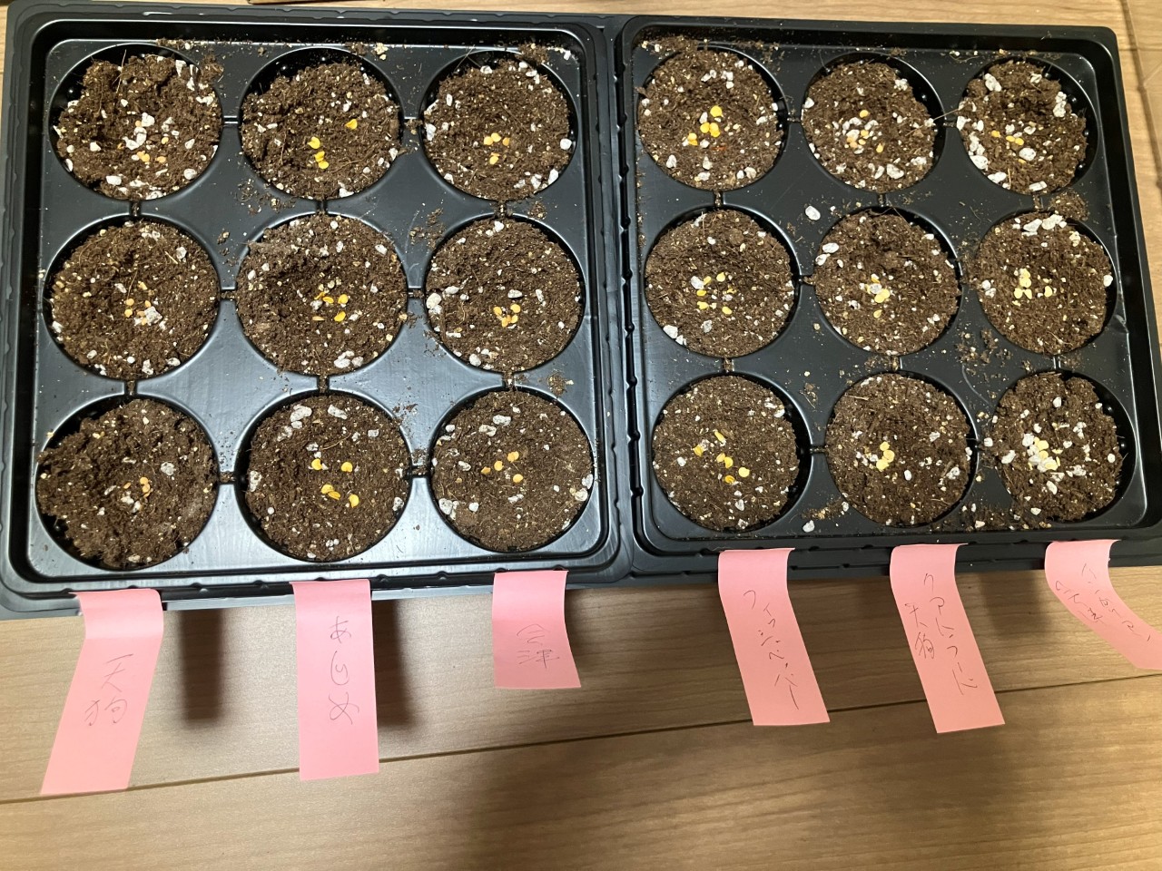 会津丸茄子の詳細画像 その1