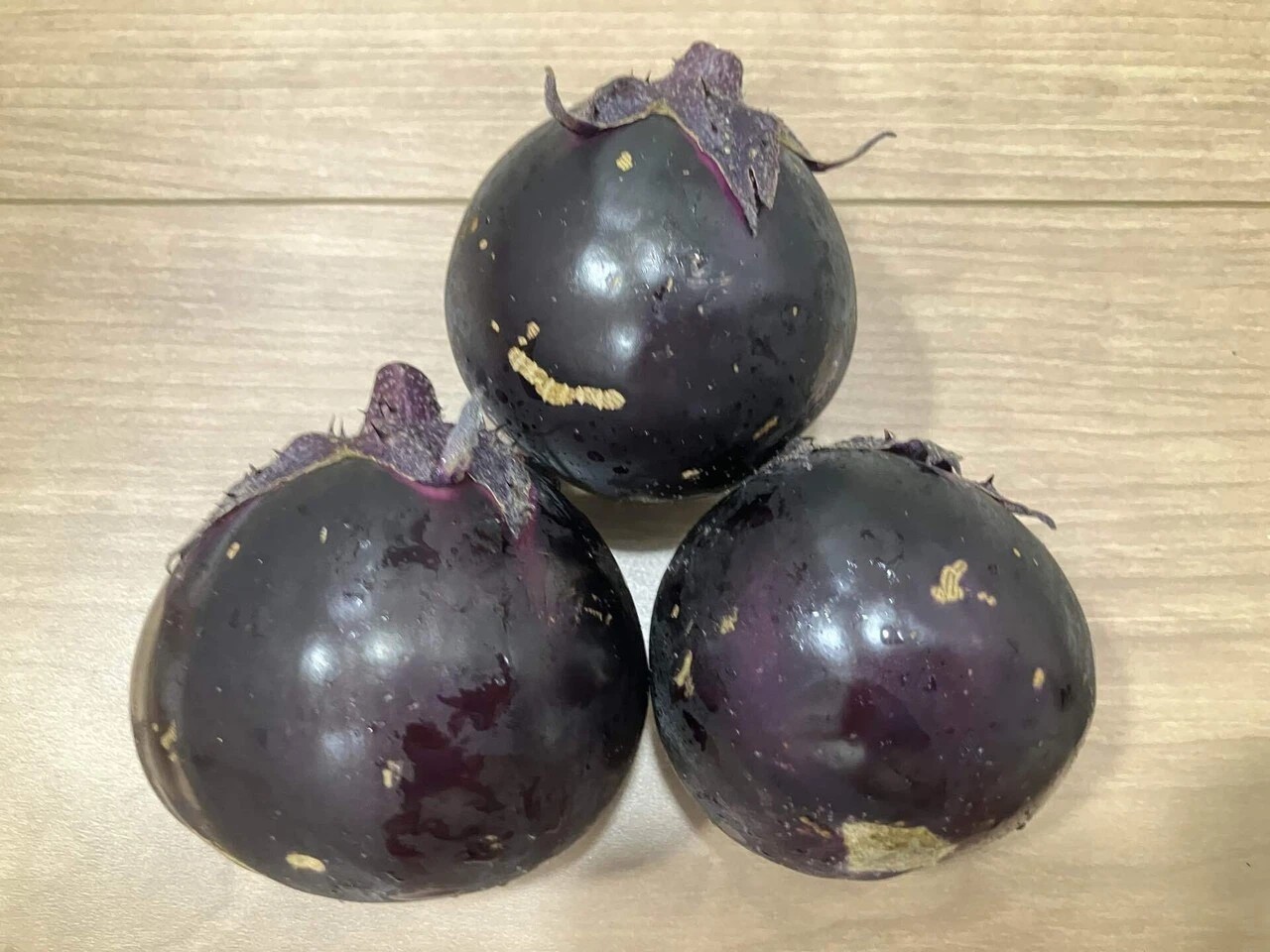 会津丸茄子の詳細画像 その20