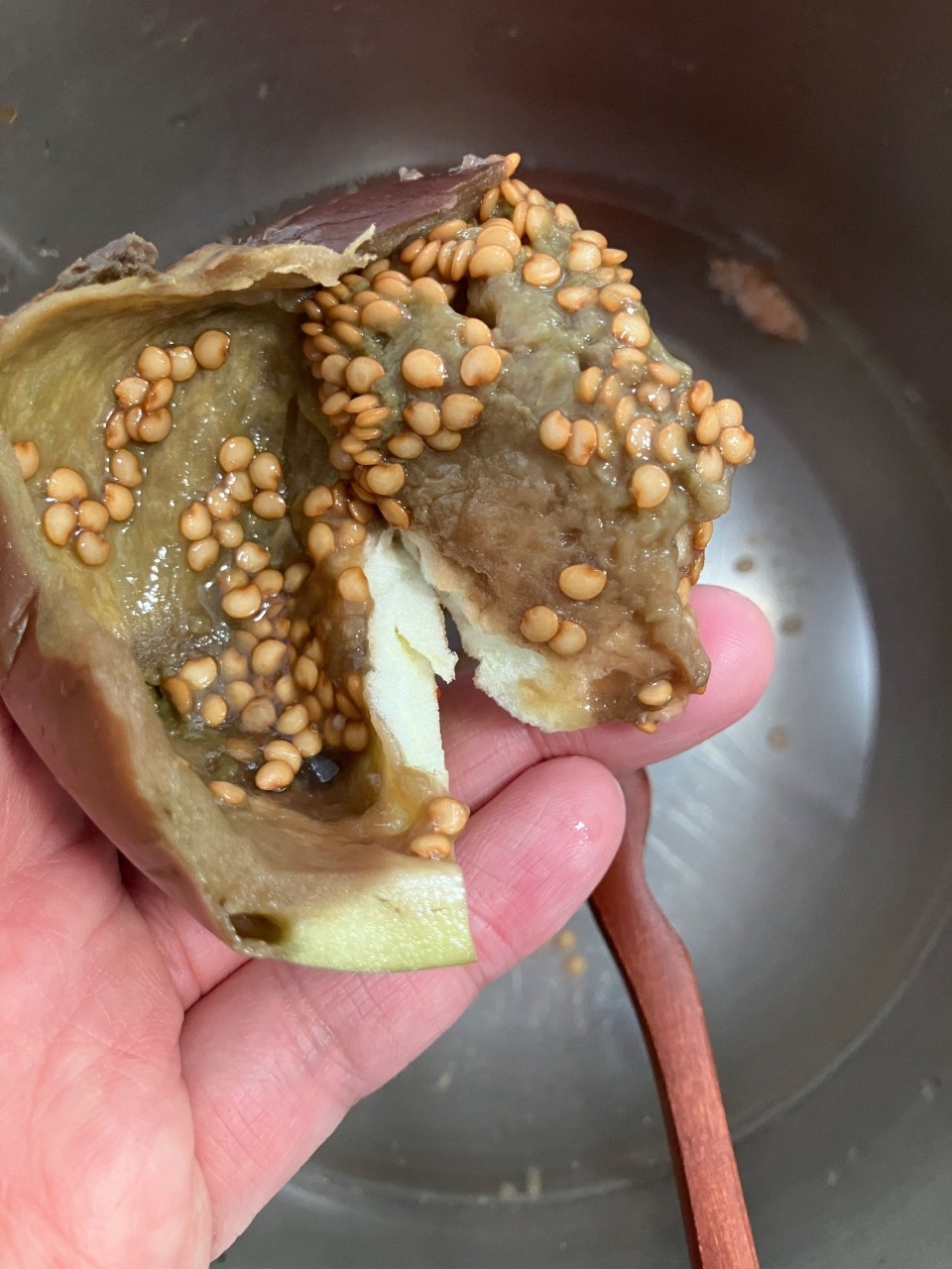 会津丸茄子の詳細画像 その34