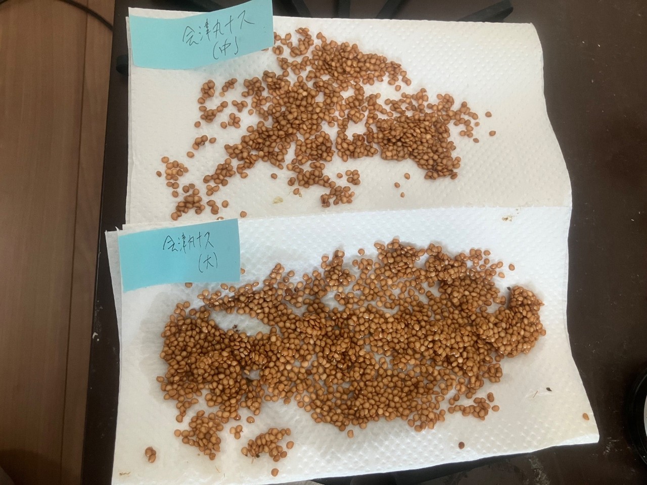 会津丸茄子の詳細画像 その35